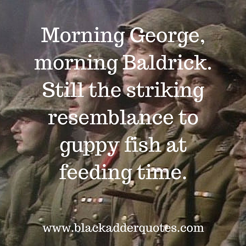 For more funny quotes from Blackadder, read the full article