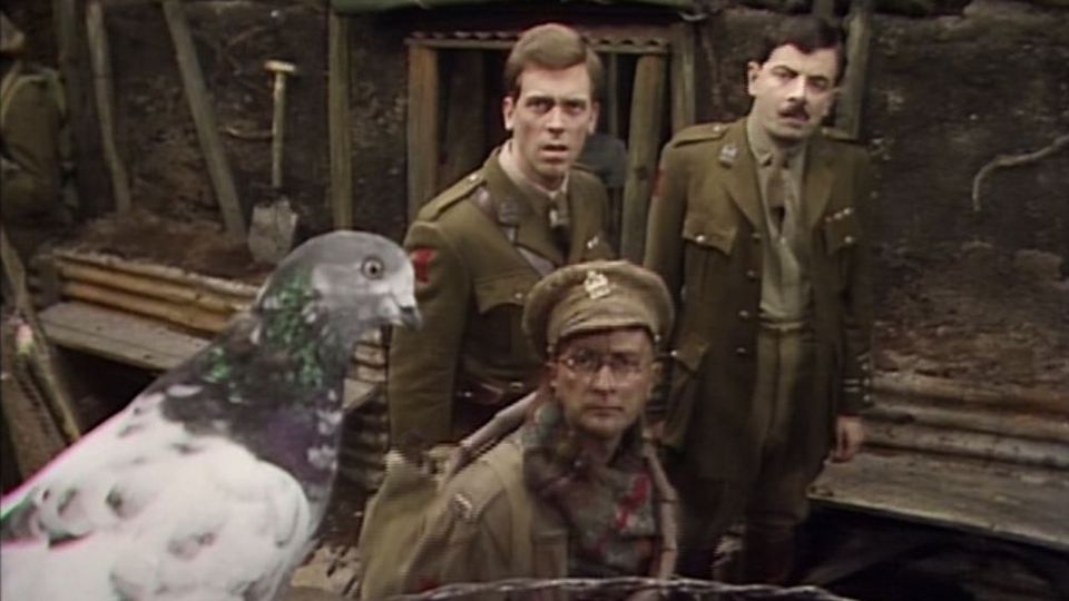 This beautiful speckled pigeon