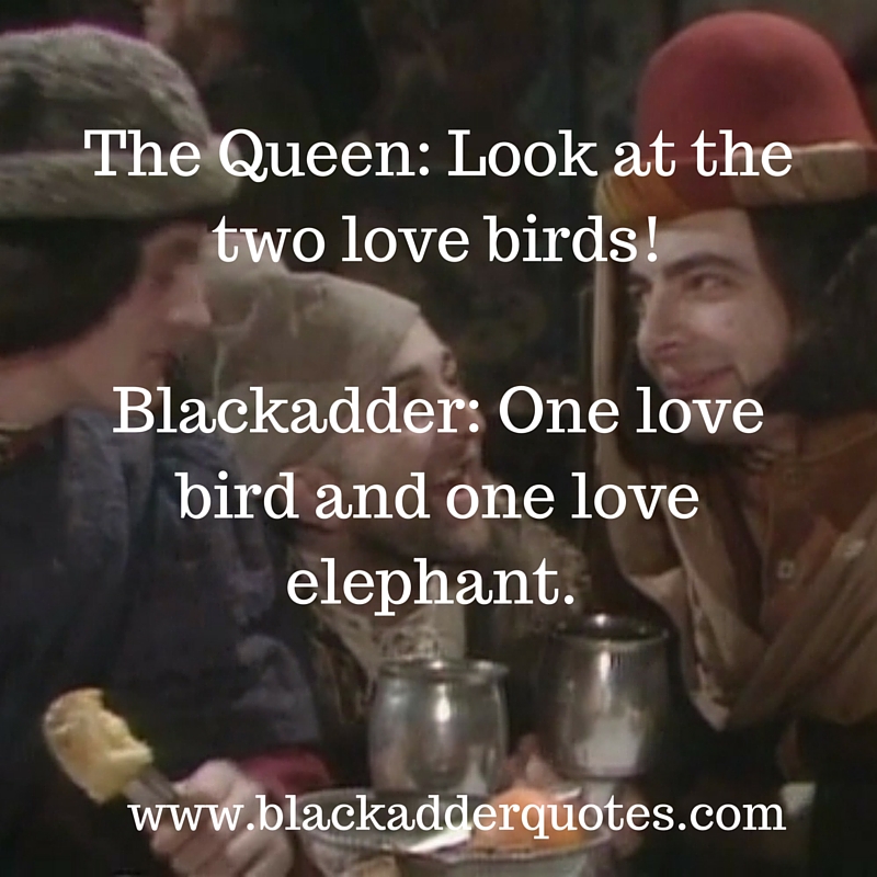 Look at the two love birds!