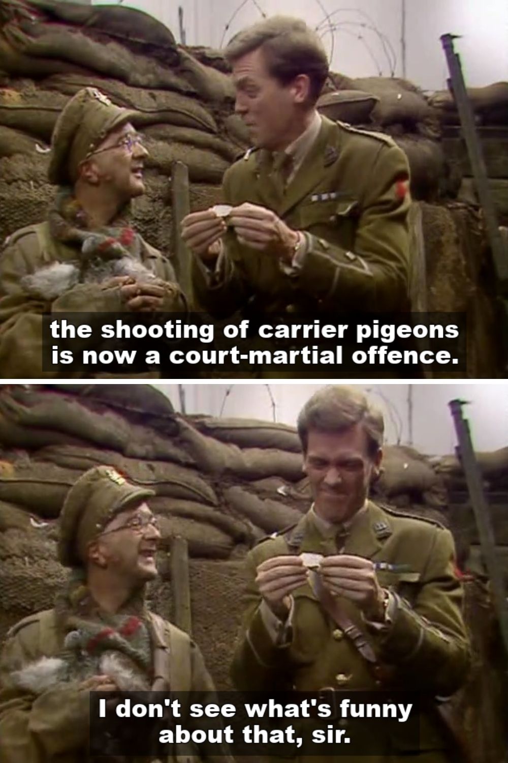 Blackadder Speckled Jim